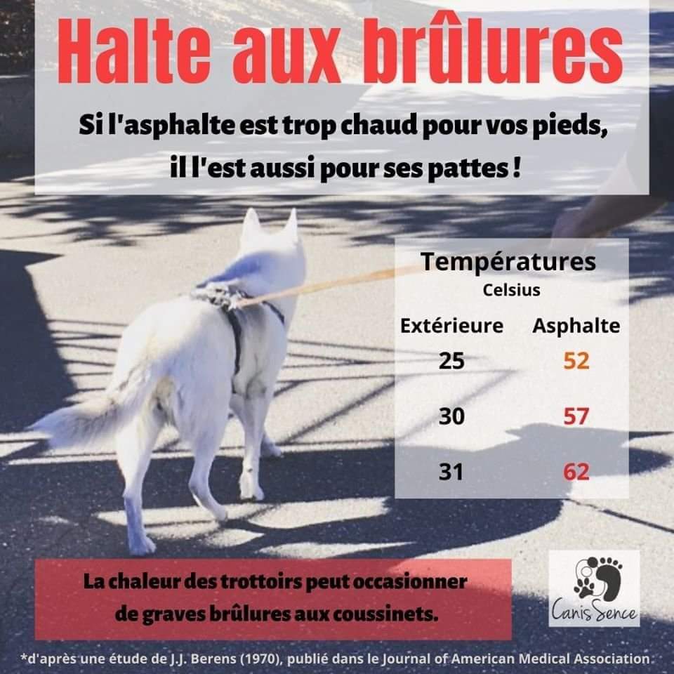 Attention aux pattes